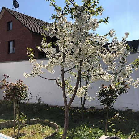 Kleve-Kellen Apartman Kleve  Kültér fotó